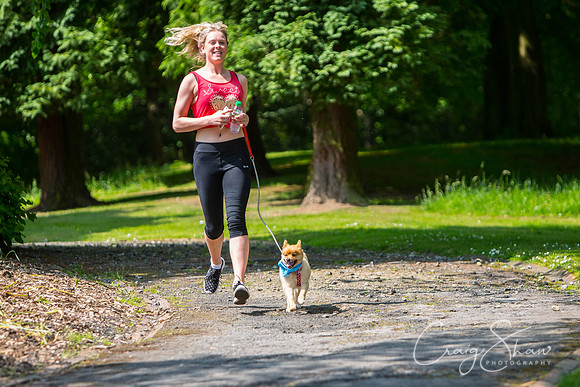 418_DoggyDashHudds2016_craigshawphoto