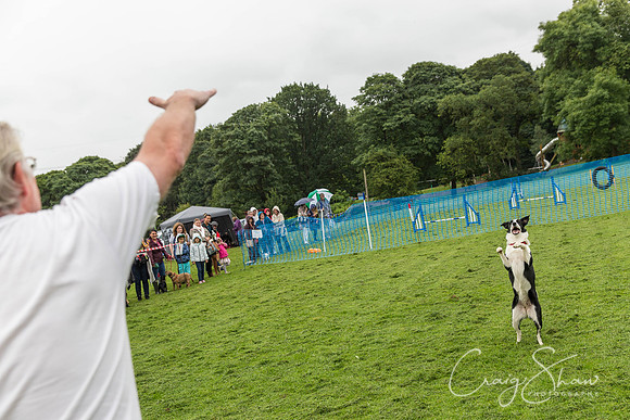 400_ShibdenDogDayRSPCAHx_bluplanetphoto