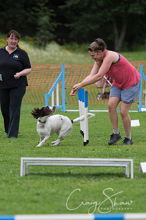1328_HebdenHappyHounds2016_bluplanetphoto