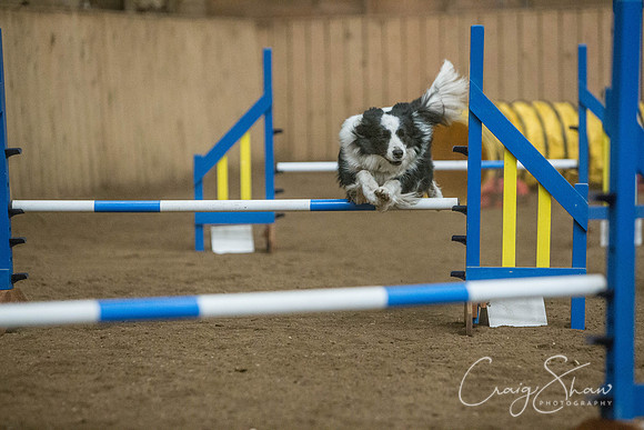 2435_SpringersSpringFling2016_bluplanetphoto