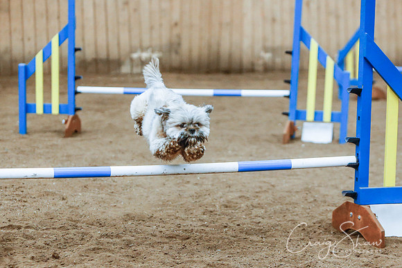 2482_SpringersSpringFling2016_bluplanetphoto