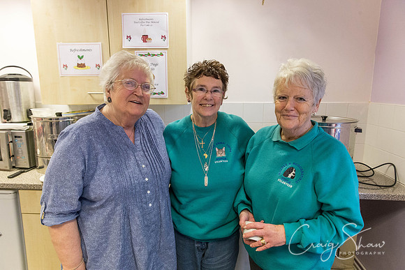 103_RSPCA_Christmas_Dec2013_bluplanetphoto