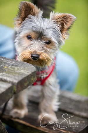 214_PAWS_FundayJuly2016_bluplanetphoto