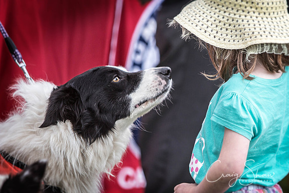 341_WJsDogShow2016_bluplanetphoto