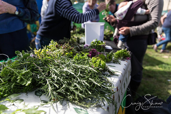 244_TodmordenHarvestFest2013_bluplanetphoto