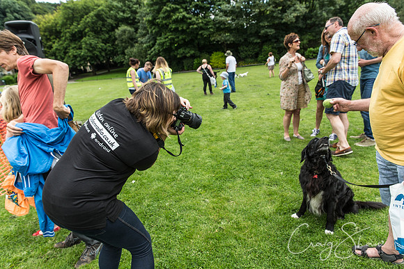 527_HebdenHappyHounds2016_bluplanetphoto