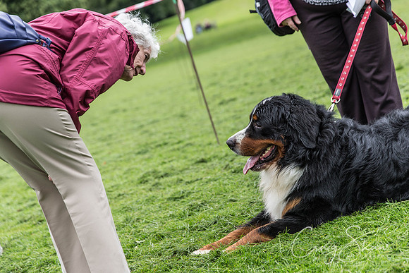120_ShibdenDogDayRSPCAHx_bluplanetphoto