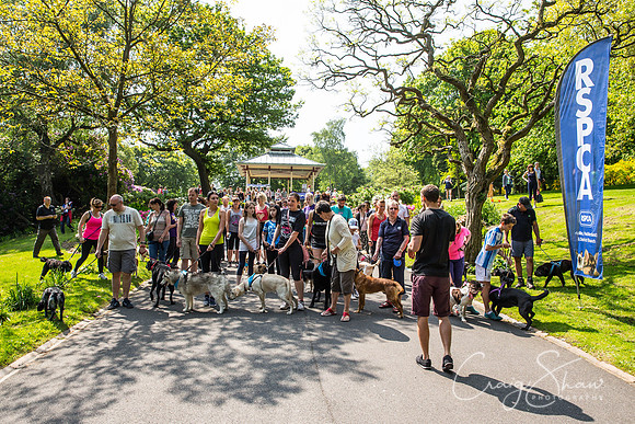 152_DoggyDashHudds2016_craigshawphoto