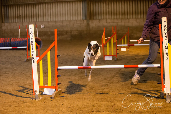 7_springfling2015_bluplanetphoto
