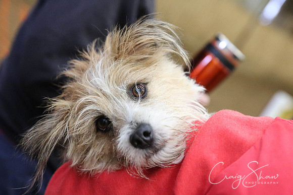 49_SpringFling2014_bluplanetphoto