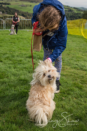 239_Woofstock2016_craigshaw