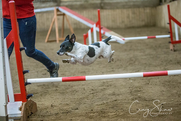 1634_springfling2015_bluplanetphoto