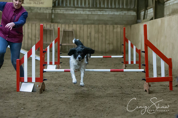 2702_springfling2015_bluplanetphoto