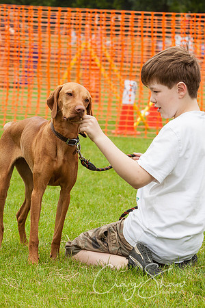 RSPCA Dog Day Afternoon