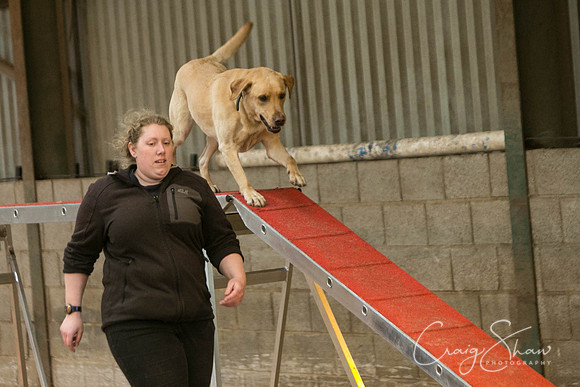 270_SpringFling2017_craigshaw