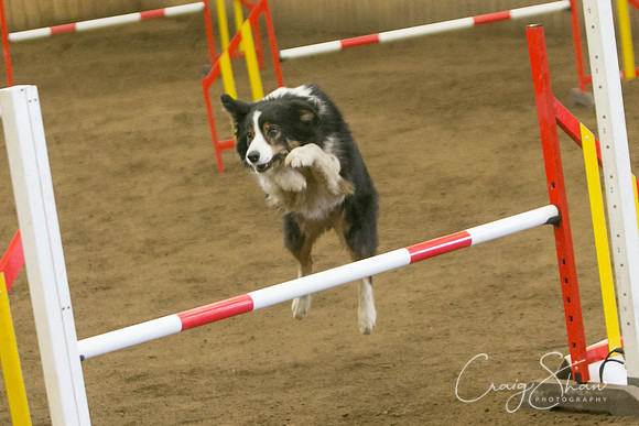364_SpringFling2017_craigshaw