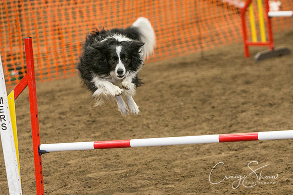 1273_SpringFling2017_craigshaw