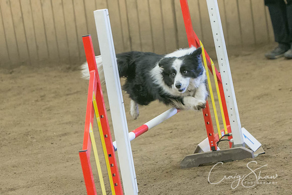 1325_SpringFling2017_craigshaw