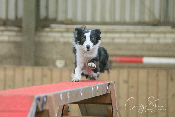 1342_SpringFling2017_craigshaw