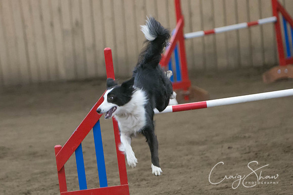 1354_SpringFling2017_craigshaw