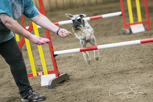 1385_SpringFling2017_craigshaw