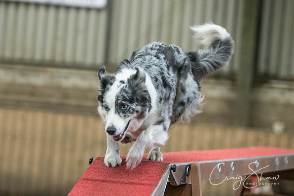 1398_SpringFling2017_craigshaw