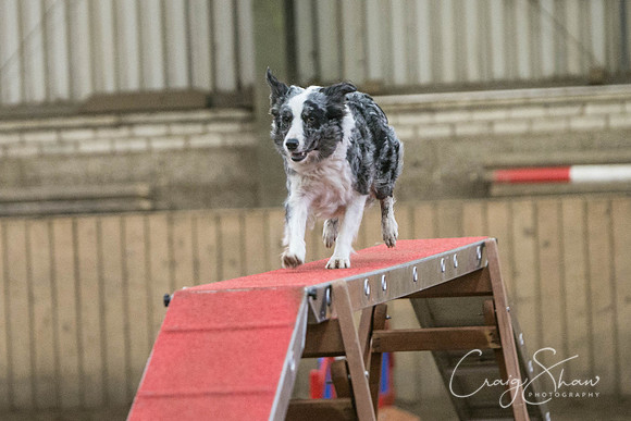 1423_SpringFling2017_craigshaw