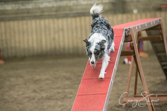 1427_SpringFling2017_craigshaw