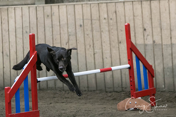 1442_SpringFling2017_craigshaw