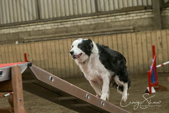 1455_SpringFling2017_craigshaw