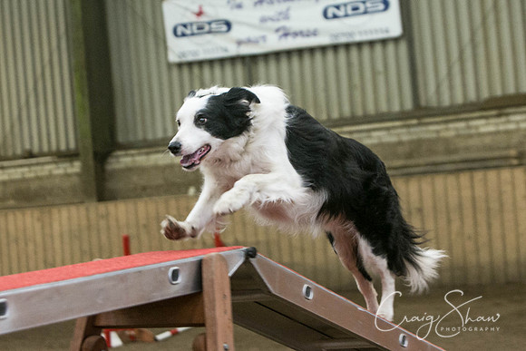1457_SpringFling2017_craigshaw