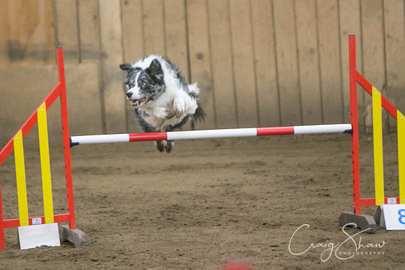 52_SpringFling2017_craigshaw