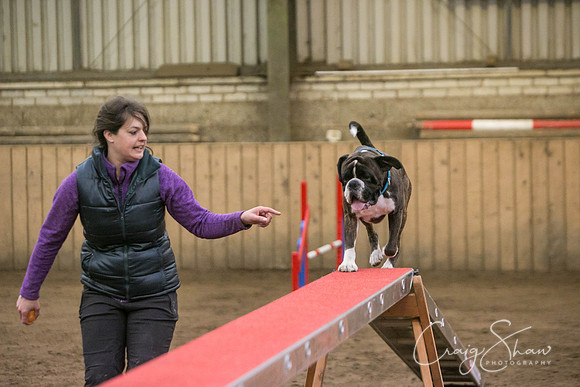 220_SpringFling2017_craigshaw