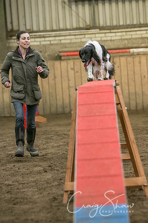 254_SpringFling2017_craigshaw