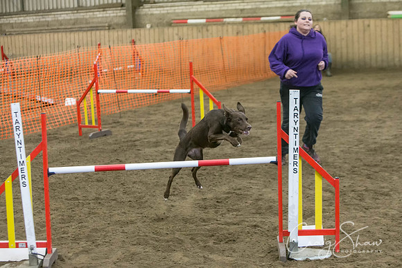 344_SpringFling2017_craigshaw-Edit