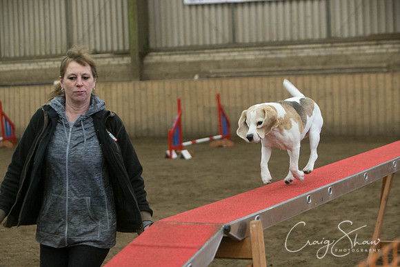 439_SpringFling2017_craigshaw
