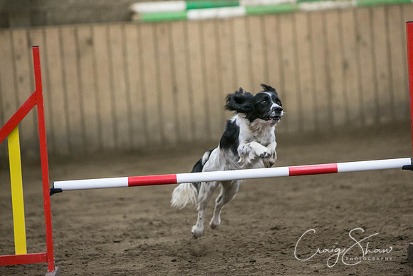 584_SpringFling2017_craigshaw