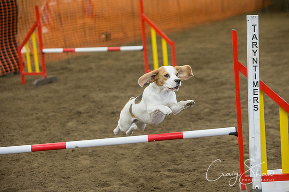 594_SpringFling2017_craigshaw