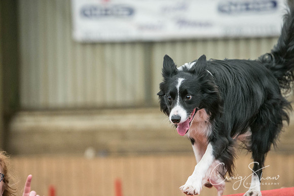 641_SpringFling2017_craigshaw