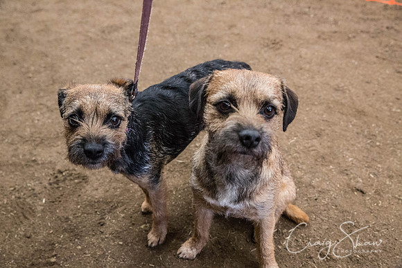647_SpringFling2017_craigshaw