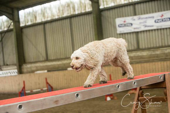 779_SpringFling2017_craigshaw