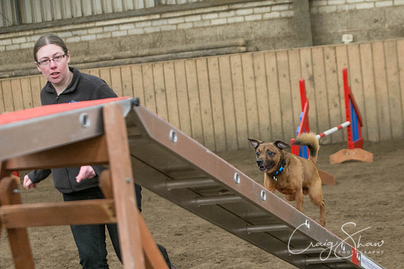 790_SpringFling2017_craigshaw