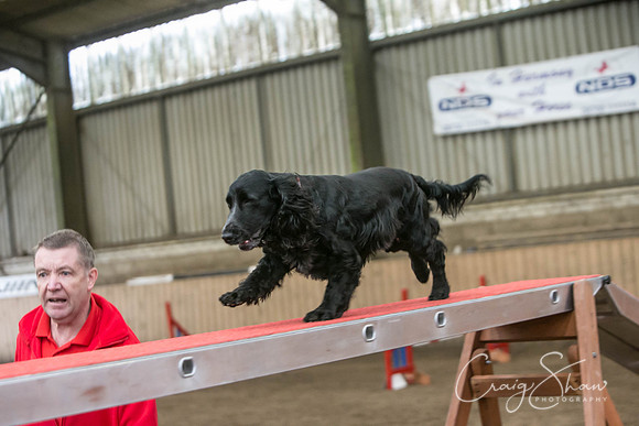 815_SpringFling2017_craigshaw