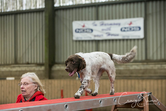 838_SpringFling2017_craigshaw