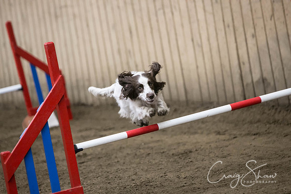 877_SpringFling2017_craigshaw-Edit