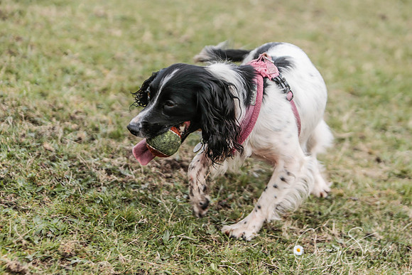 1076_SpringFling2017_craigshaw