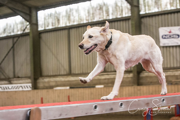 1432_SpringFling2017_craigshaw