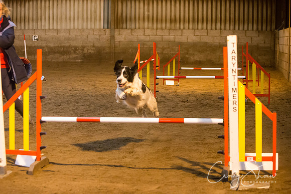 93_springfling2015_bluplanetphoto