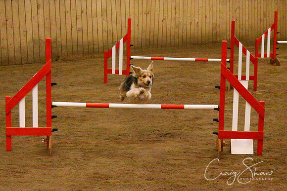 spring fling 2012-841
