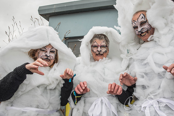 The Extraordinary Orchard Park Parade, Hull